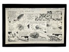 Original 1953 Disney Mickey Mouse Weekly Comic Art Basil Reynolds True Life