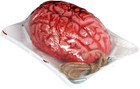 Lifesize Fake Zombie Bloody Brain Butcher Tray Human Organ Halloween Horror Prop