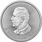 2024 1 Oz Canada 9999 Fine Silver Maple Leaf  5 Coin Bu - In Stock