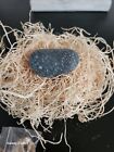 Pet Rock 2010 With Original Pet Rock 2010 Super Mini Size Novelty Toy In Box And