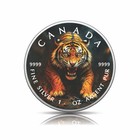   2025 Canada 1oz 9999 Silver Bu The Fireborn Fury Colouriized