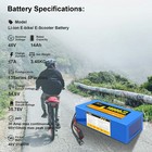 48v 14ah Lithium Battery Pack For 0-1000w Motor With 2a Charger