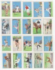 1934 Gallaher Champions 1st Series 48 Different Tobacco Card Lot
