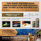 Algae Wafers Pleco Food  Spirulina   Algae  Sword Prawns  Balanced Diet  Color E