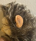 Vintage Steiff Hedge Hog 6    Mohair No Tag Or Button 1960   s