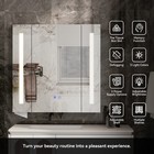 Smart Bathroom Mirror Cabinet W  Anti-fog   Dimmable Led Light  Adjustable Shelf