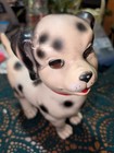 Vintage 1960s Sun Rubber Co Company Dalmation Dog Eyes Open Close Antique