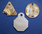 Group Of 3 Early Dog Tax License Tags - 1922  1906    Charleston   Georgetown