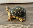 Turtle Figurine Tortoise Reptile Educational Collection Life Like Animal