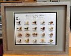 20 Framed   Mounted  Precision-tied  Hairwing Dry Flies - In 14 x12   Shadow Box