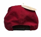 Gryffindor Harry Potter House Hat Cap Youth Osfm New