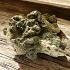 Ruck   s Pit Fossil Clam With Honey Calcite Crystals     Ft  Drum  Fl  8