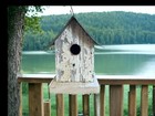 Small Rustic Handmade Wren Birdhouse  Hanging Or Post Birdhouse  Primitive