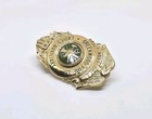 Vtg Greenwood Delaware Fire Company 78 Ladies Auxiliary Asst  Treasurer Badge