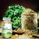 Oil Of Oregano 4000mg - Digestive Health  Immune Support With Carvacrol 120 Caps
