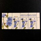 Ukraine 2017  Set   medicinal And Honey Plants   Flora  Flowers