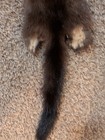 Nice Wild Brown Mink Fresh Tanned Hide Super Soft Plush Leather Craft Pelt Fur 
