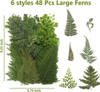 48 Pcs Pressed Ferns Large Dried Pressed Leaves  Dried Flowers For Crafs