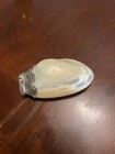 Antique Shell French Mother Of Pearl Snuff Case - 19th Century