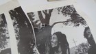 Vintage 1991 Bob Marley 25 25  X 35 25  Poster  61