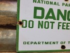 Vintage National Park Service Porcelain Sign Caution Do Not Feed Bears Smokey