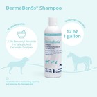 Dermabenss Shampoo For Dogs  Cats  And  Horses