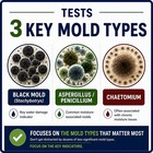 Evviva Sciences Black Mold Lab Test Kit  Air   Surface Sampling  Tests For   