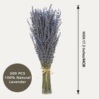 Dried Lavender 2 Bunches 100  Fresh Natural Purple Bouquet 2 Bunches  Mixed 