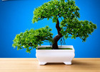 Artificial Bonsai Tree Potted Fake Plant Home Garden Table Bedroom Room Decor