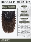 Loxxy Jerry Curly Clip In Hair Extensions 16inch Black Human Hair