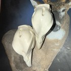 Rooster Pheasant Reproduction Head 2 Pack 