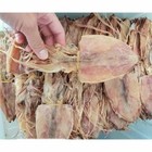 1000g Dried Whole Medium Squid Thai Seafood Clean Fresh Snack 3 5-4inch Size