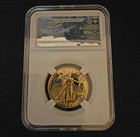 2023 - 1 2 Ounce  999 Gold American Eagle - 24k Fine  bu  Glided Repro Coin