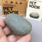 1975 Pet Rock Rock Bottom Productions Los Gatos Ca Genuine Vintage Box   Booklet