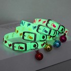 Luminous Cat Collar Glowing Silicone Anti-loss Bell Necklace For Small Dog Cat