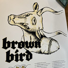 Brown Bird Salt For Salt 2011 North American Tour Poster David Lamb 25   x 19    New