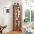 Corner Glass Cabinet Lighted Display Case Bar Glass Storage Light Included