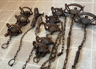 Lot Of 12 Vintage 4 Victor  Spring Animal Traps