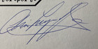 Arie Luyendyk Personally Autographed Signed Indy Car Card Racing Freeship