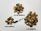 Tumbled Golden Tigers Eye Crystals Bulk 1  To 2  Large Polished Healing Stones