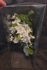 Wedding Bridal Bouquet White   Green Flower Roses Bouquet Cascade Bride Marriage