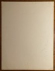 R e m  Syria Mosque Pittsburgh 1986 Us Concert Poster Camper Van Beethoven Rem