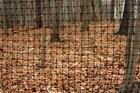 8  Max Strength Trident Deer Fence Rolls - Polypropylene - Black