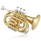 Bb Pocket Trumpet  Brass Band Instrument B Flat Key With Padded Case  Mouthpiece