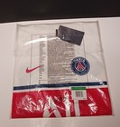 Nike Dri Fit Lionel Messi T-shirt Mens Size Xl Paris Saint Germain Soccer 