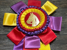 1981 Horse Show Ribbon Hunter Grand Champion Gloucester County Nj Purple Gold
