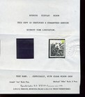 Ryukyu Islands Scott 100 Display Mihon Mint Stamp With Bush Cert    rare   