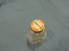 Vintage Snow Crest Bottle Bank  7  Bear Salem Mass   