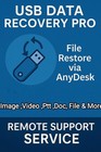 Remote Usb Data Recovery Service     Fast File Restore Via Anydesk     Secure Help
