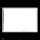 Old Vintage Photo Women Sitting In Yard